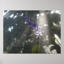 Paarse Bloemen in de Mist Print