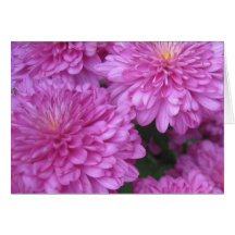 Paarse Bloemen Kaart