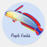 Paarse Goby Firefish van de ertsader Klantgerichte
