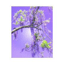 Paarse Hartstocht Wisteria Stretched Canvas Afdrukken