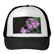 paarse phacelia trucker petten