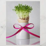 Paasei Shell met Greens en Roze Lint 2 Persoonlijke Folder