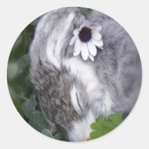 Paashaas Ronde Sticker