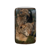 pair of wolves blackberry bold case