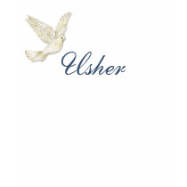 Paires de colombe - T-shirt d'Usher