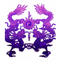 Paires de dragons pourpres sur les cadeaux et l'ha t-shirt