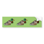 Paires de Mallard
