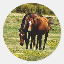 Paires de "meilleurs amis" - de chevaux autocollant rond