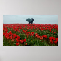 Paires de parapluie dans les tulipes poster
