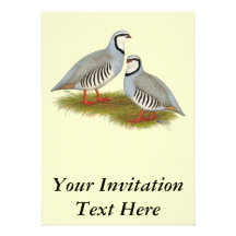 Paires de perdrix de Chukar Faire-part Personnalisables