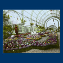 Palais de carte postale d'horticulture cartes postales