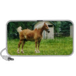 Palomino dans le pâturage haut-parleurs notebook