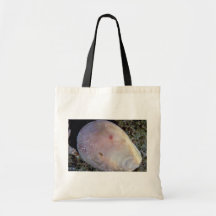 Palourde rugueuse de dossier (scabra de Lima) Shel Sac En Toile