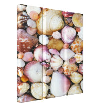 Palourde Shell Toile Tendue