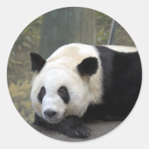 panda112 autocollant rond