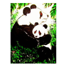 Panda 07 * cartes postales de panda * Panda-Art-Po