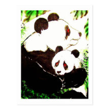 Panda 08 * panda de bébé * Panda-Postkarten* Panda Cartes Postales