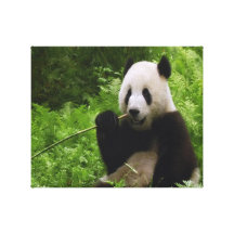 Panda Canvas Afdrukken