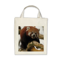 PANDA ROUGE DANS L'ARBRE SACS