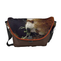 Panda rouge de sommeil mignon avec la nourriture d besaces