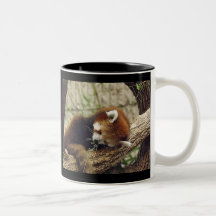Panda rouge de sommeil mignon avec la nourriture d tasse