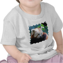 Panda rouge doux t-shirts