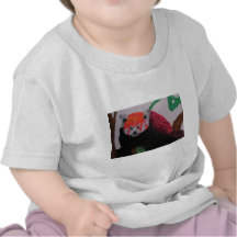 panda rouge en hiver t-shirt