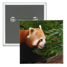 Panda rouge pin's