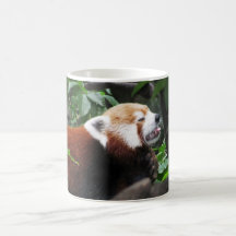 Panda rouge stricking sa langue tasse à café