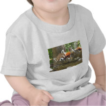 panda rouge t-shirt