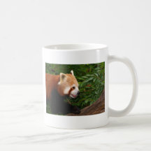 Panda rouge tasse à café