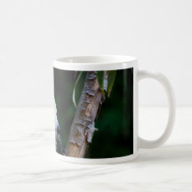 Panda rouge tasses à café