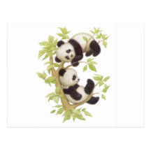 Pandas mignons carte postale