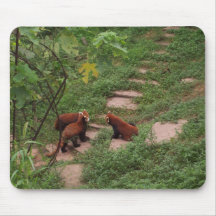 Pandas rouges à Chengdu, Chine Tapis De Souris