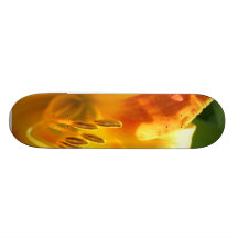 Panneau de lis skateboards customisés