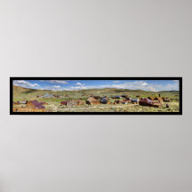 Panorama de Bodie Poster