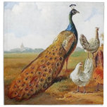 Paon avec des poules serviettes