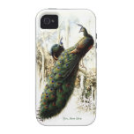 Paons de repos - personnaliser iPhone 4 case