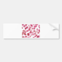 papier adhésifs pour voiture