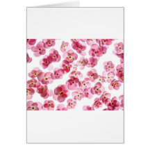 papier cartes