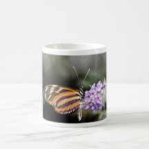 Papillon 1 tasse
