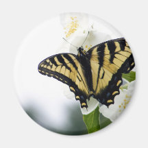 Papillon Aimants