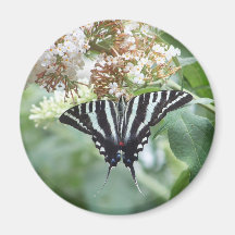 Papillon Aimants Pour Réfrigérateur