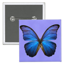 Papillon bleu magnifique de Morpho Badge Avec Épingle
