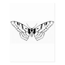 Papillon Cartes Postales