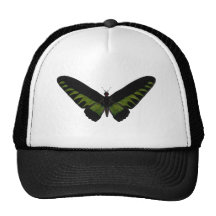 Papillon Casquettes