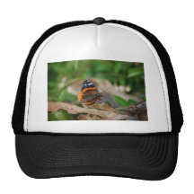 Papillon Casquettes