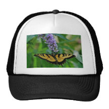 Papillon Casquettes De Camionneur