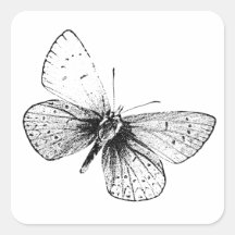 Papillon d'art de bruit autocollant