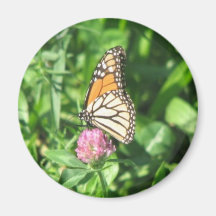 Papillon d'automne aimants pour réfrigérateur